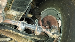 6s007 Before Restoration (43)